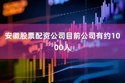 安徽股票配资公司目前公司有约1000人