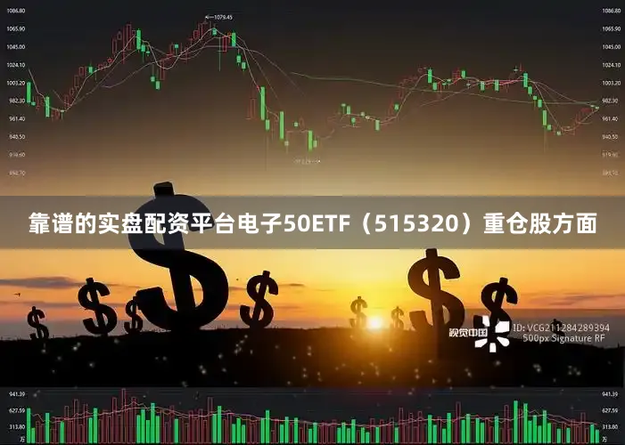靠谱的实盘配资平台电子50ETF（515320）重仓股方面