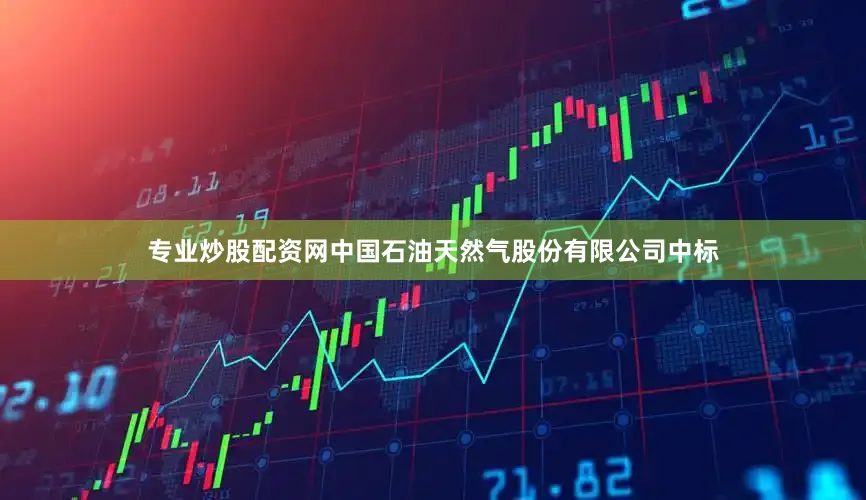 专业炒股配资网中国石油天然气股份有限公司中标