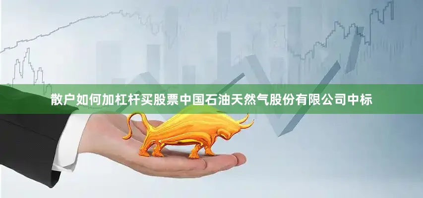 散户如何加杠杆买股票中国石油天然气股份有限公司中标